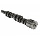 RIVA Sea-Doo 300/260/255/230/215 Racing Camshaft